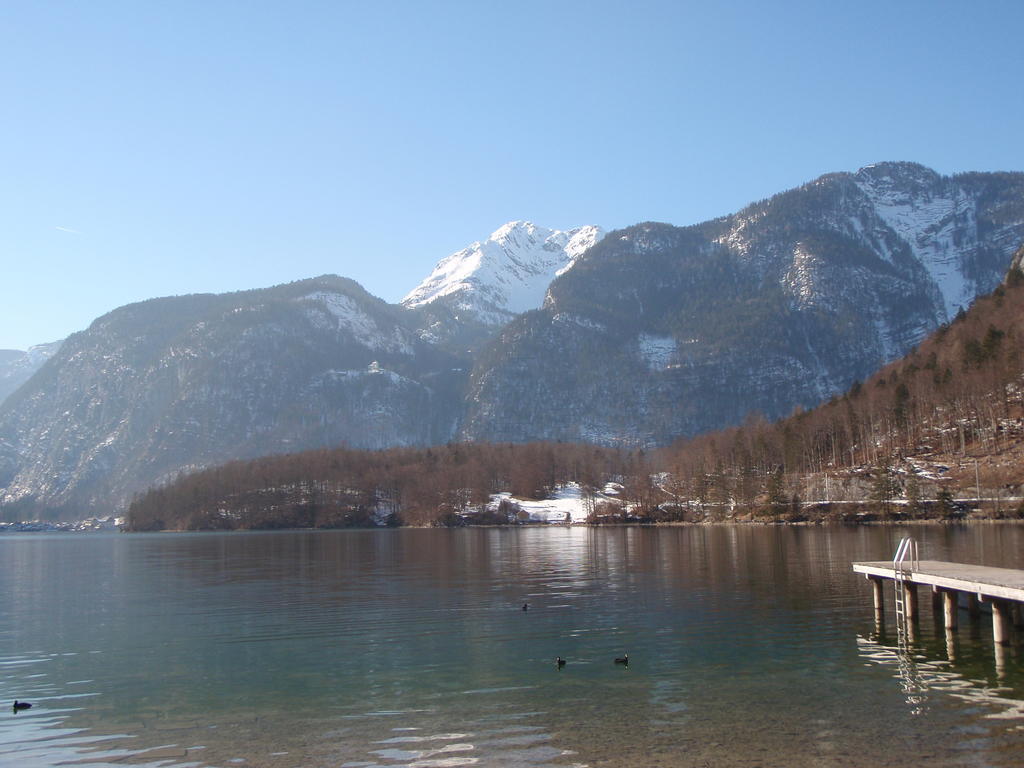 Appartement Haus Bellevue
