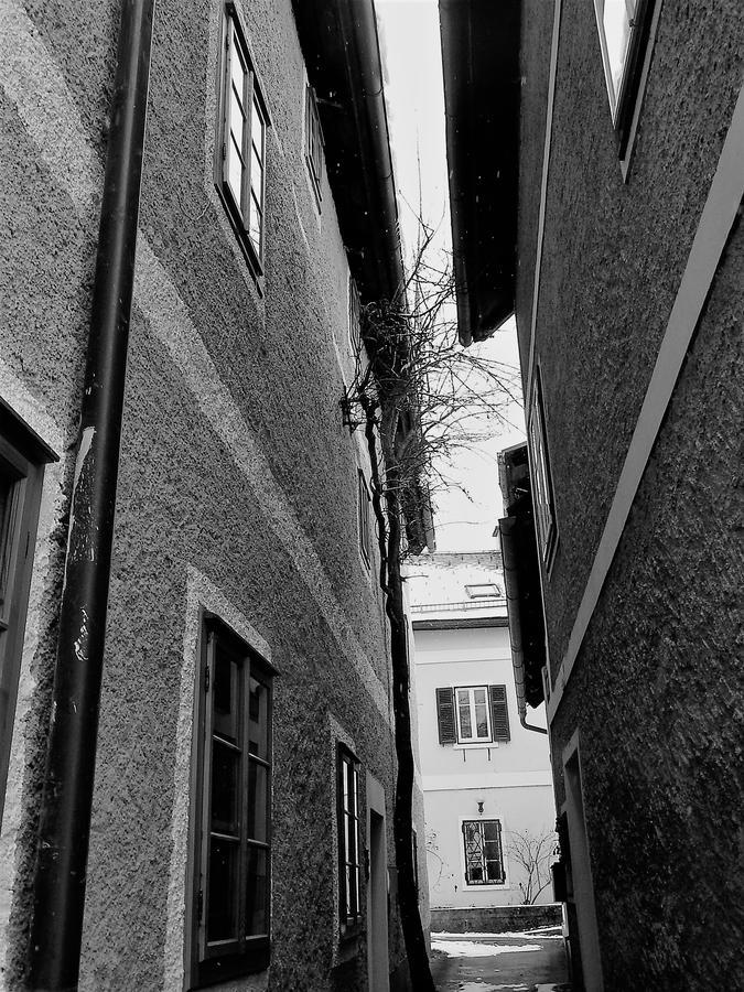 Haus Bellevue