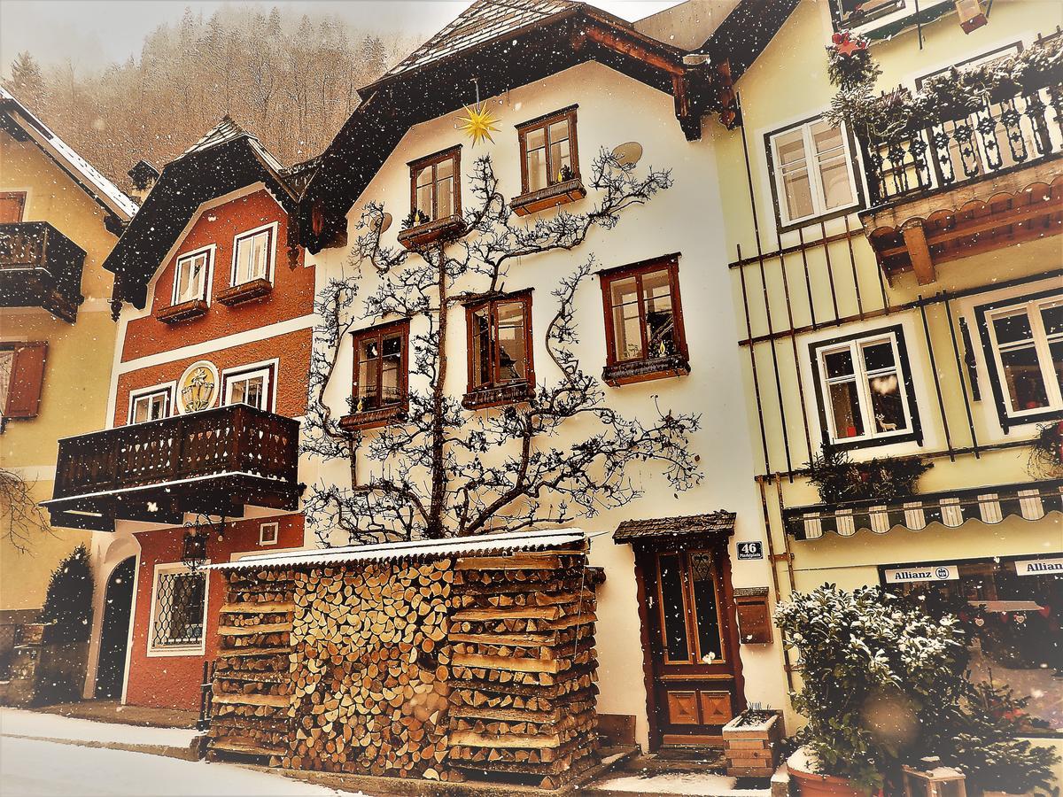 Haus Bellevue Appartement