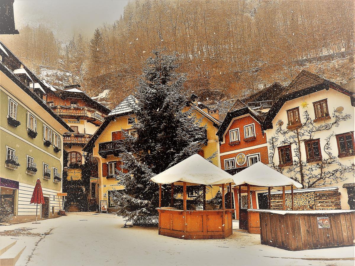 Appartement Haus Bellevue Obertraun