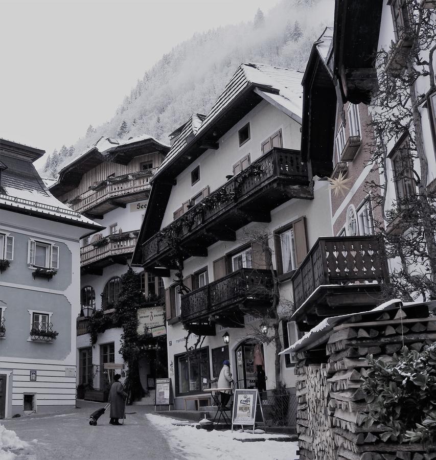 Appartement Haus Bellevue